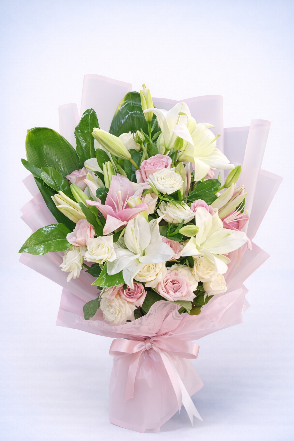 Blush Lily