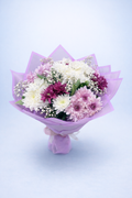 Purple Chrysanthemums