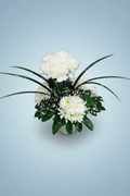 White flower arrangement on baby blue studio background